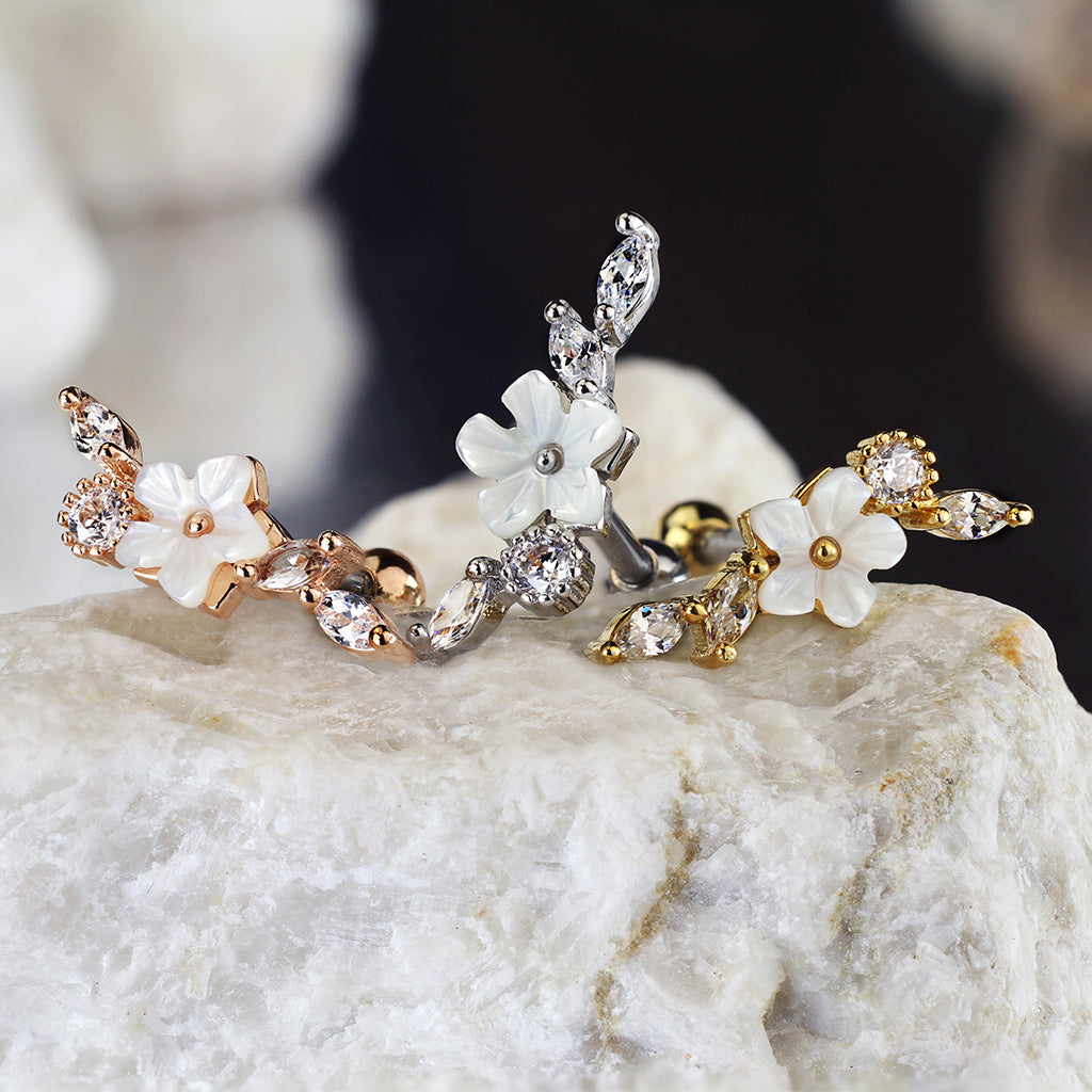 Chirurgenstahl-Schmuck für Ihr Ohrpiercing