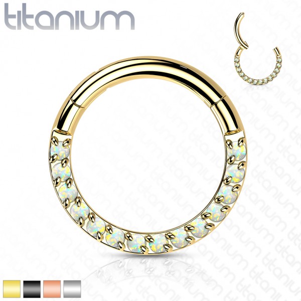 Titan Septum Clicker Ring mit Premium Zirkonia CNC Set Helix Daith Ohrpiercing
